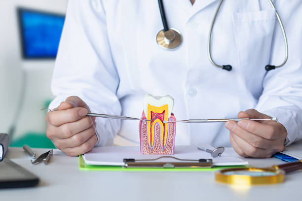 Best Holiday Emergency Dentist in Old Jamestown, MO